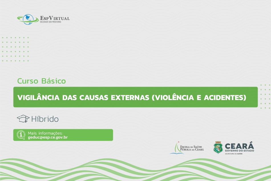 Curso Básico de Vigilância das Causas Externas (Violências e Acidentes) 2024